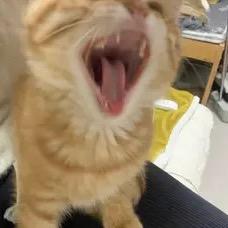 爱儿