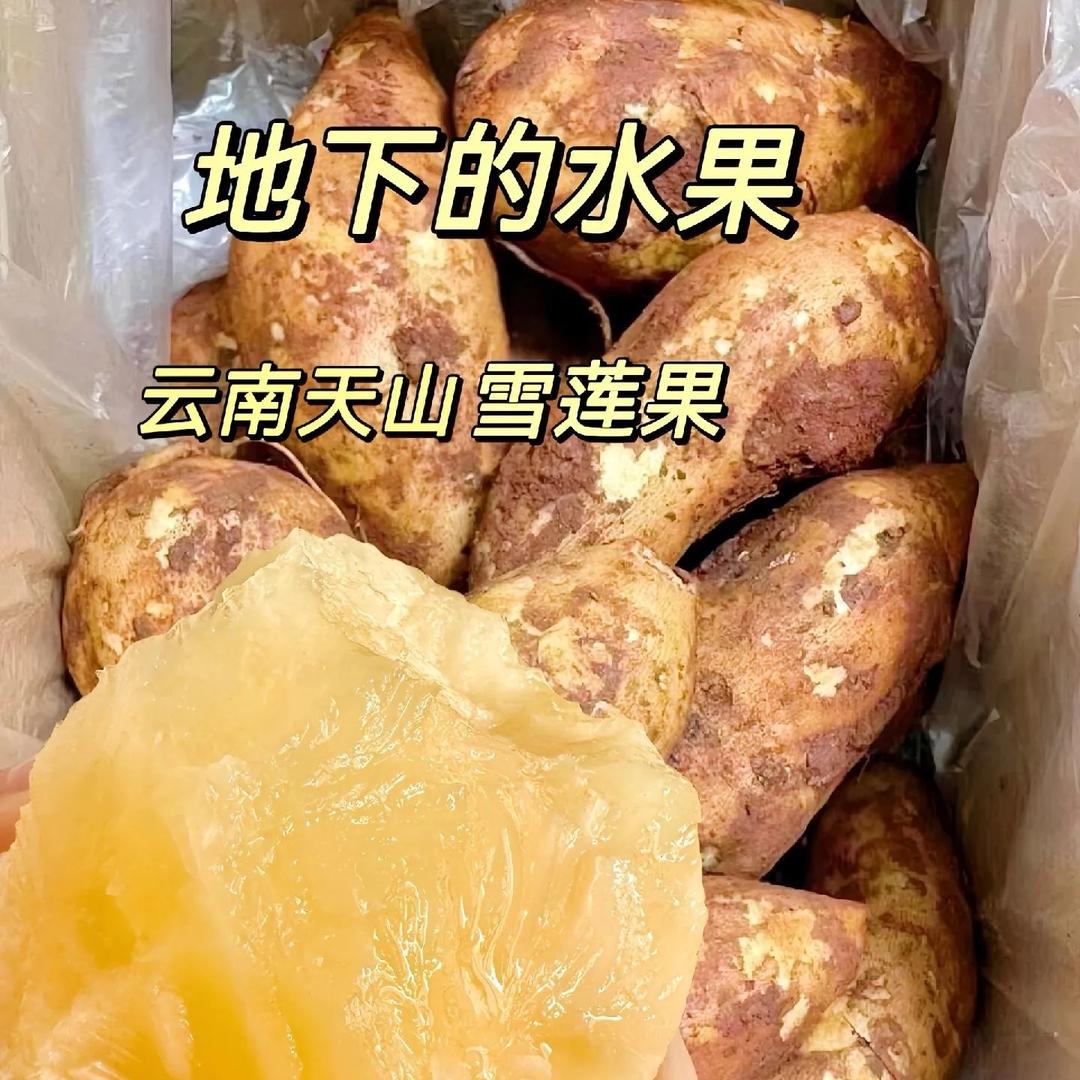 有你美食