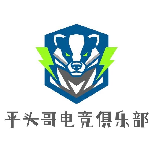 平头哥电竞园区