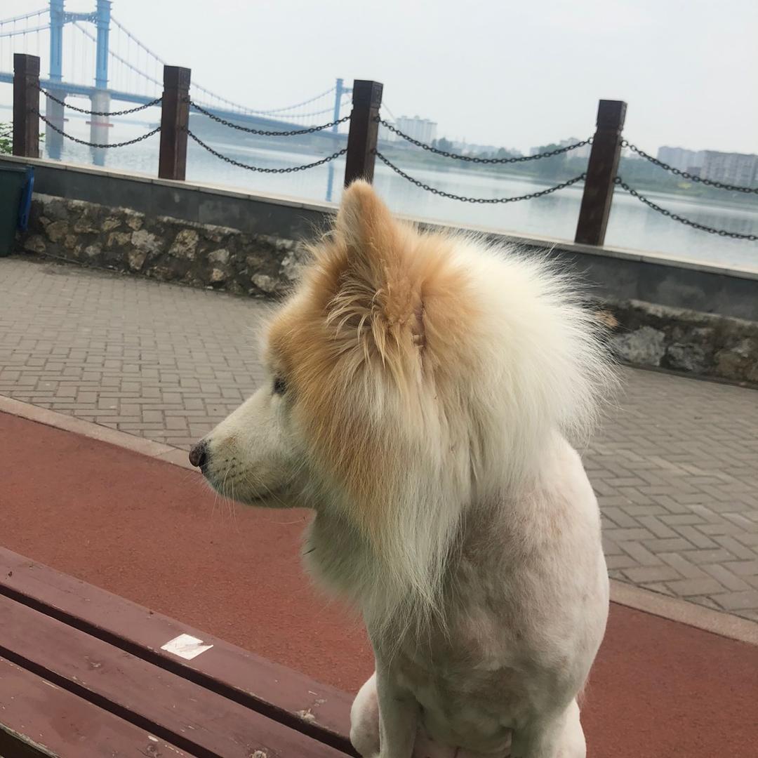 周公闲KAN