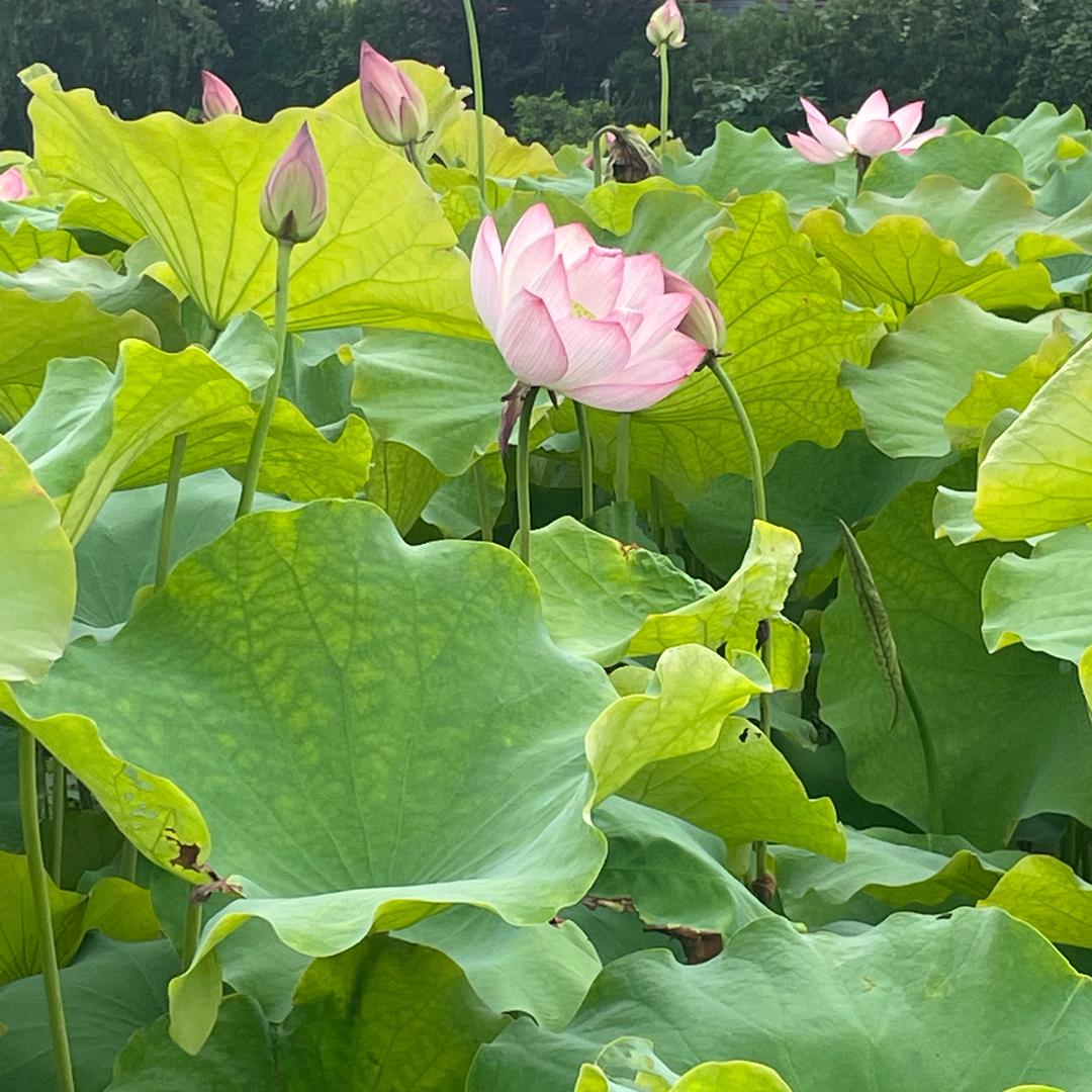 ☆好运♧加满☆