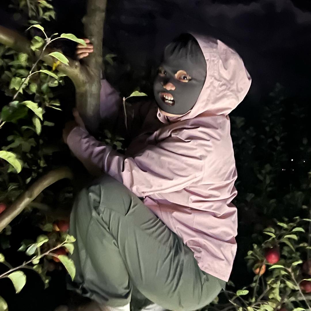 偷果三姐妹