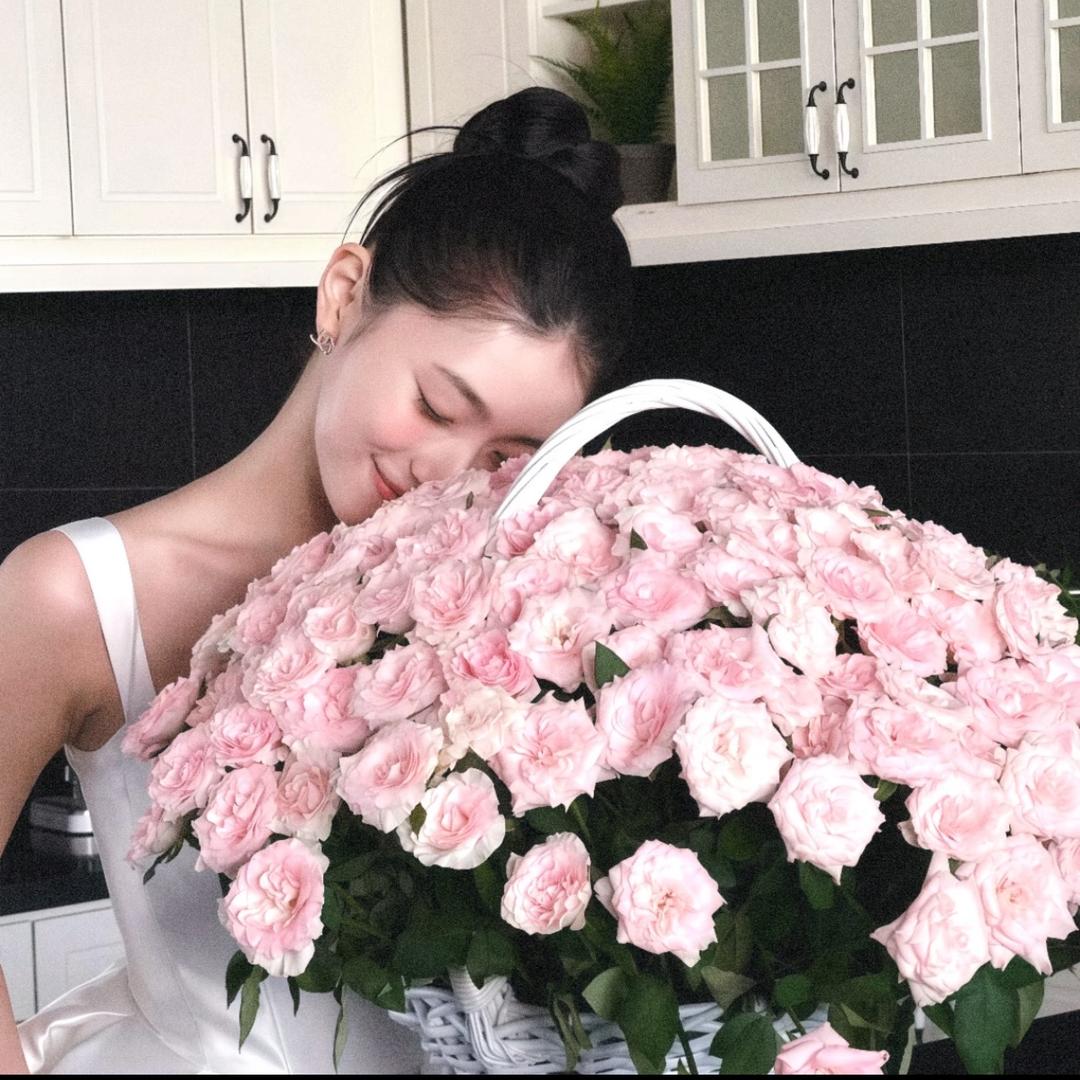 不爱吃饭的馨馨🐰