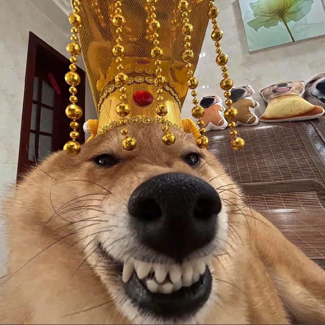 婷