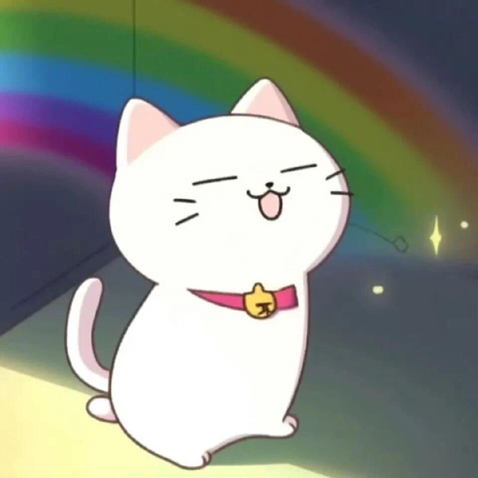 忱