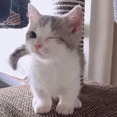 搓澡巾头像