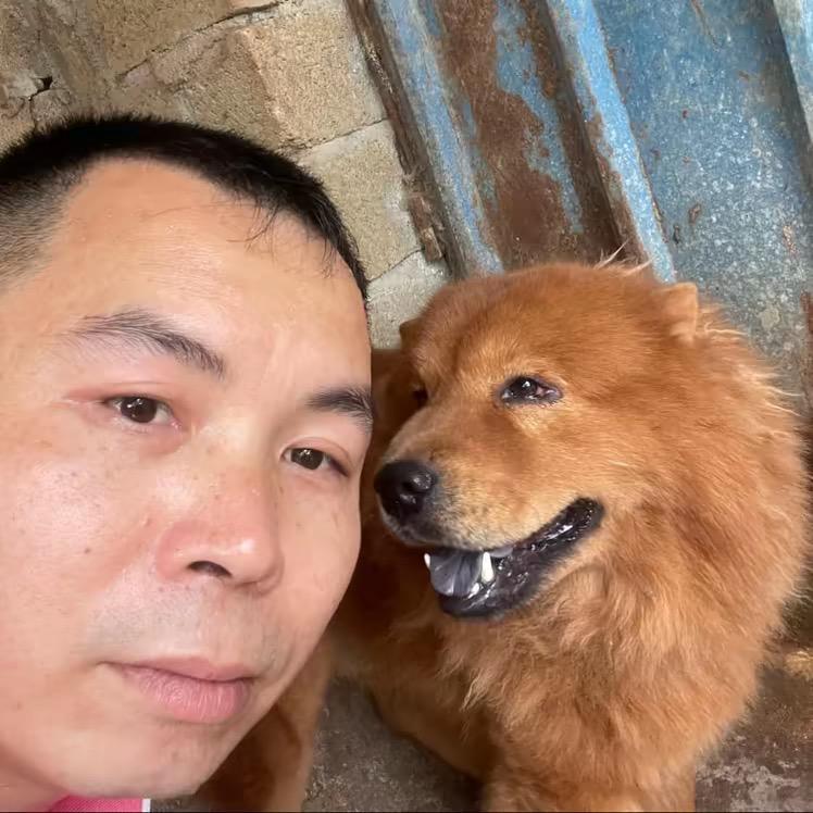 容县阿胜养狗专业户（橱窗分享好物）