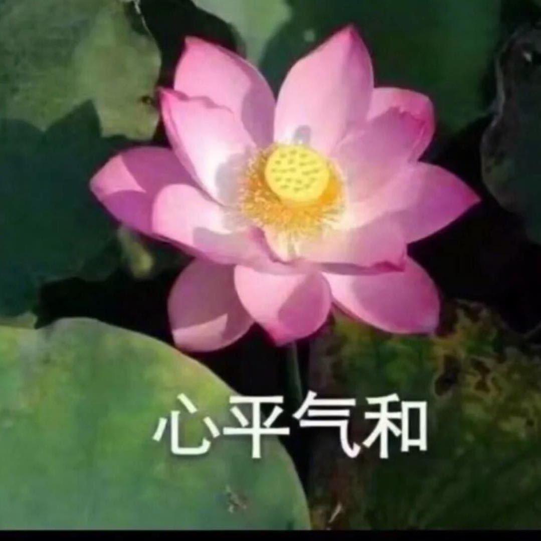小花花