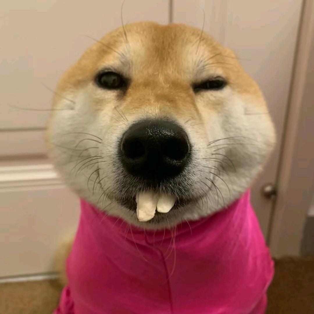 肝完这把就睡