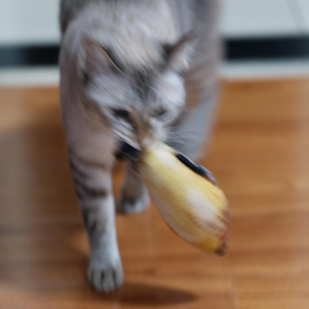 拯救睡了吗行动