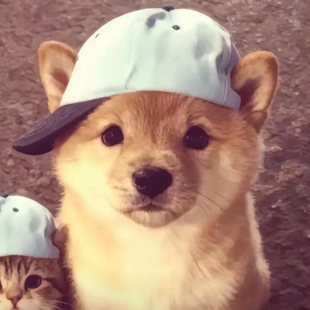 半个kobe
