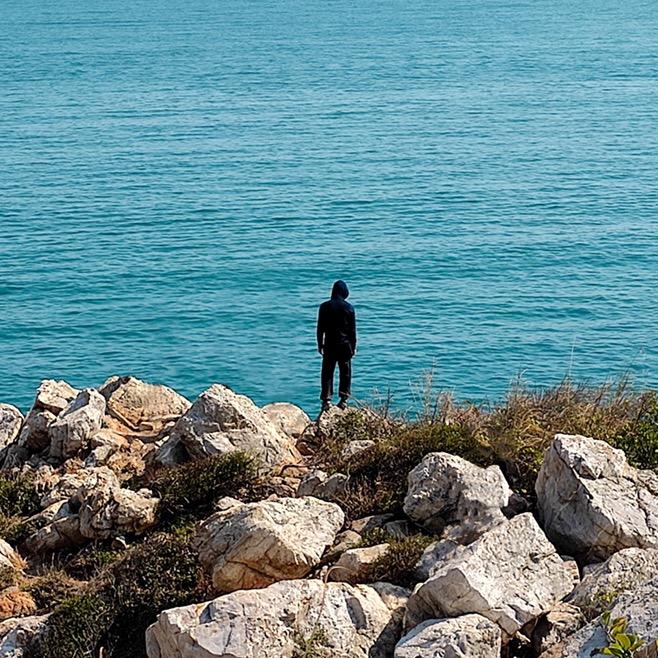 一头橘猫（努力成为单依纯的兵版）