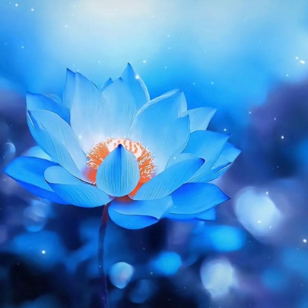 浅 藍
