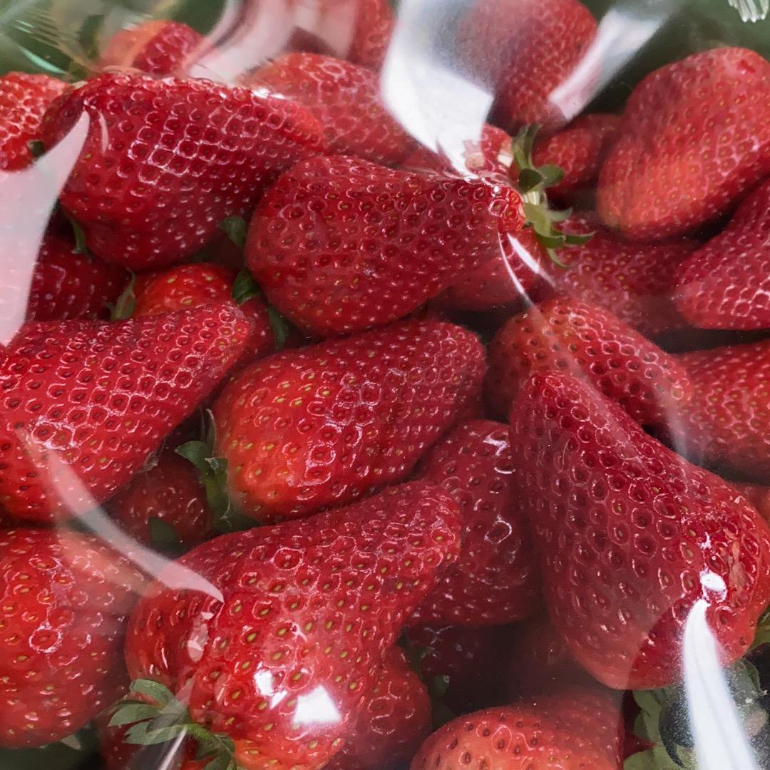 悠悠草莓🍓采摘园