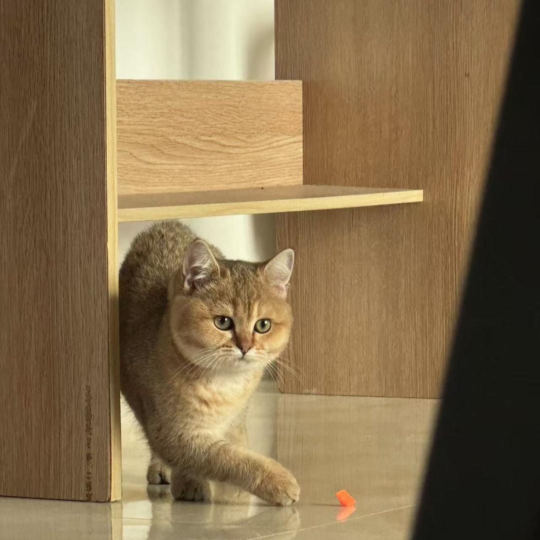 新郑哈哈多元百货优品店