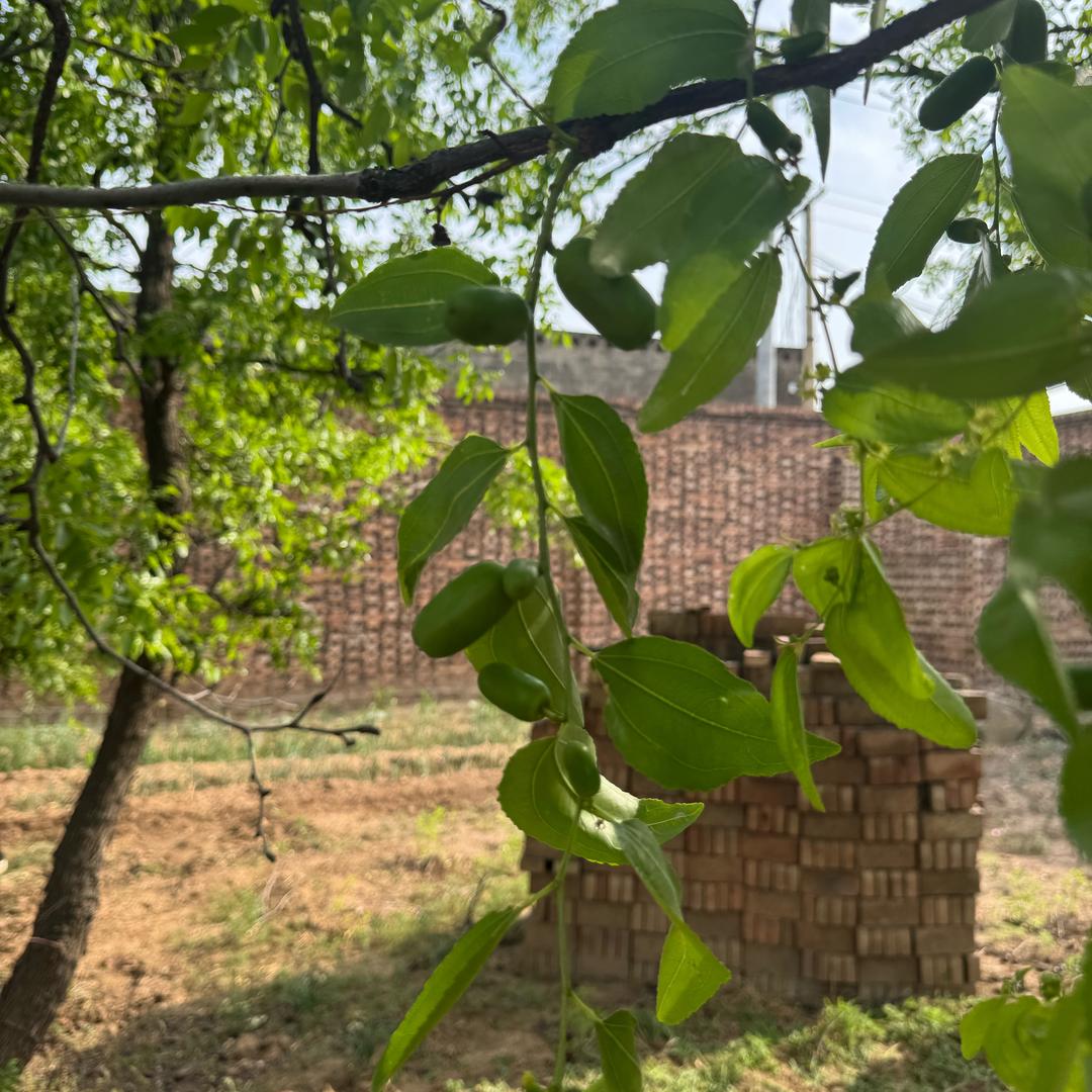 90后女生的农村生活