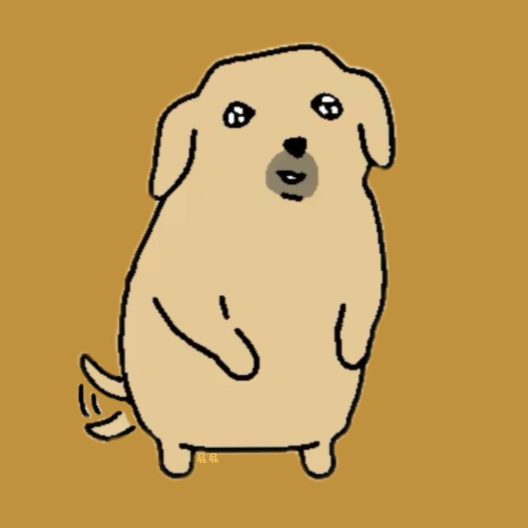 pipi