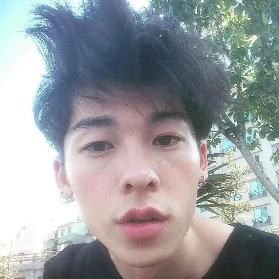 我是一只小猫
