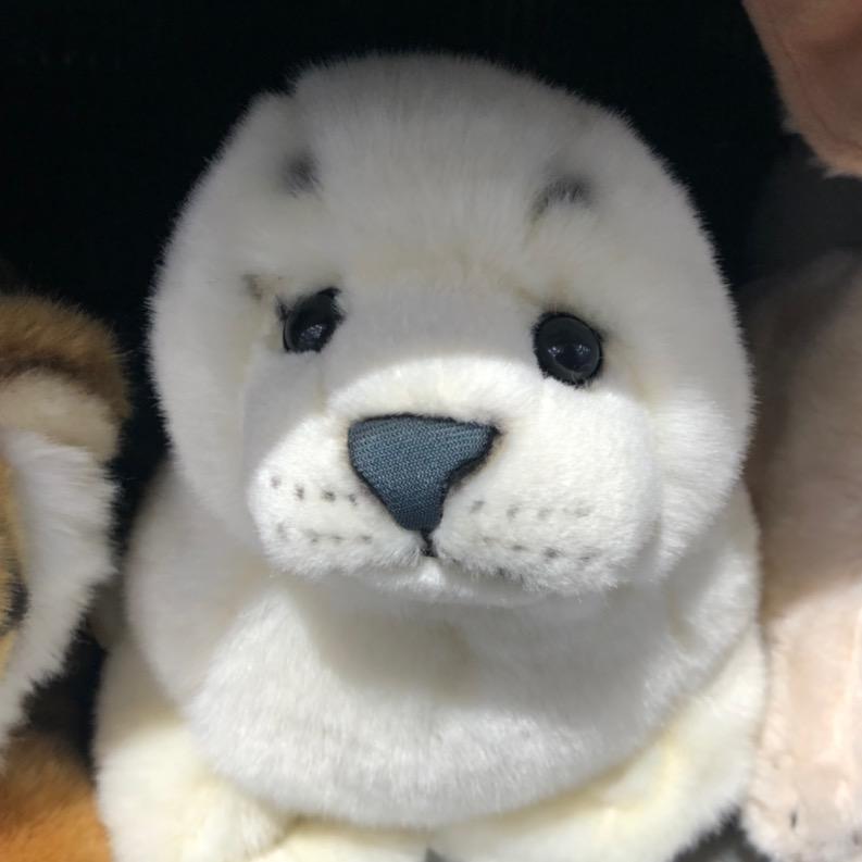 你绿