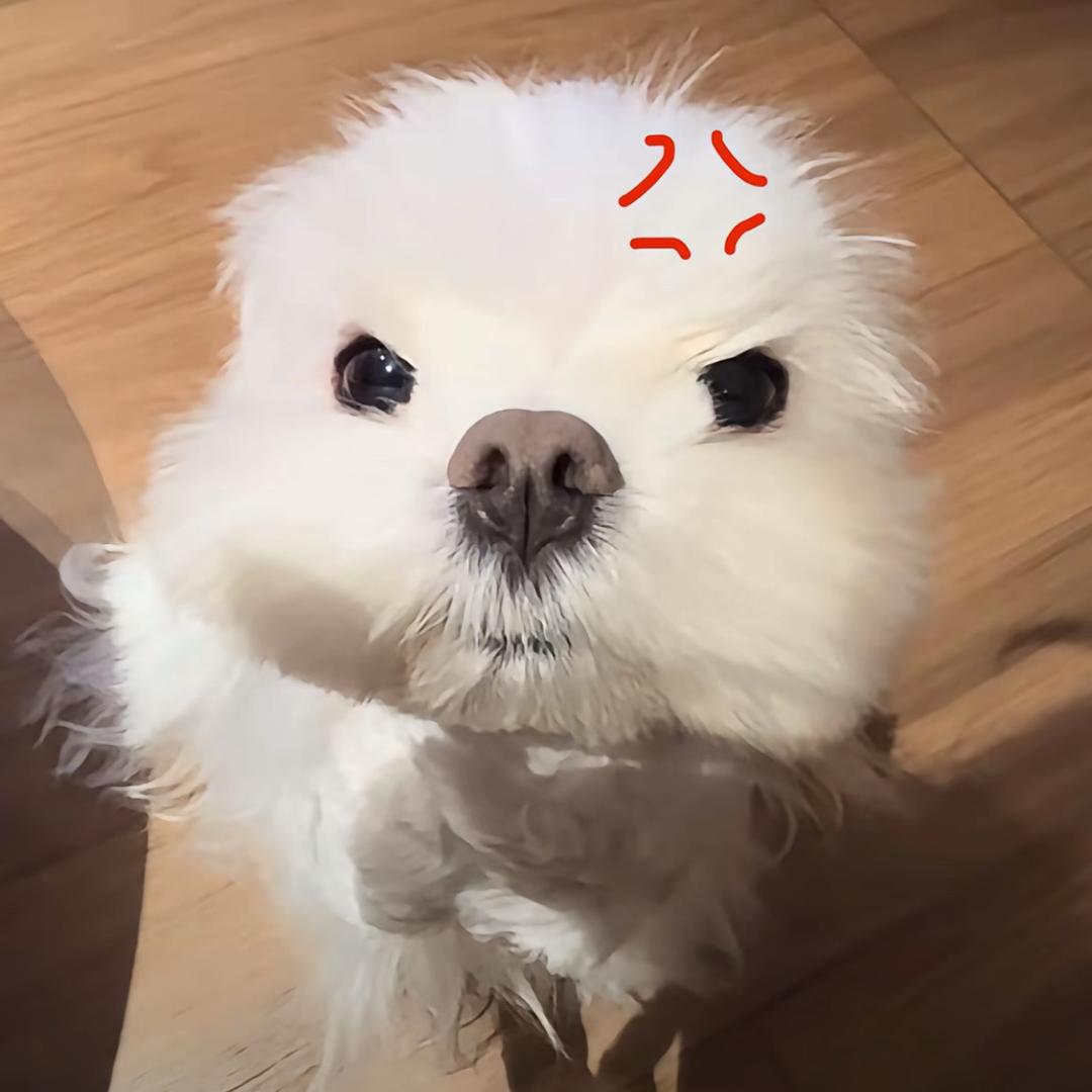 1绵绵