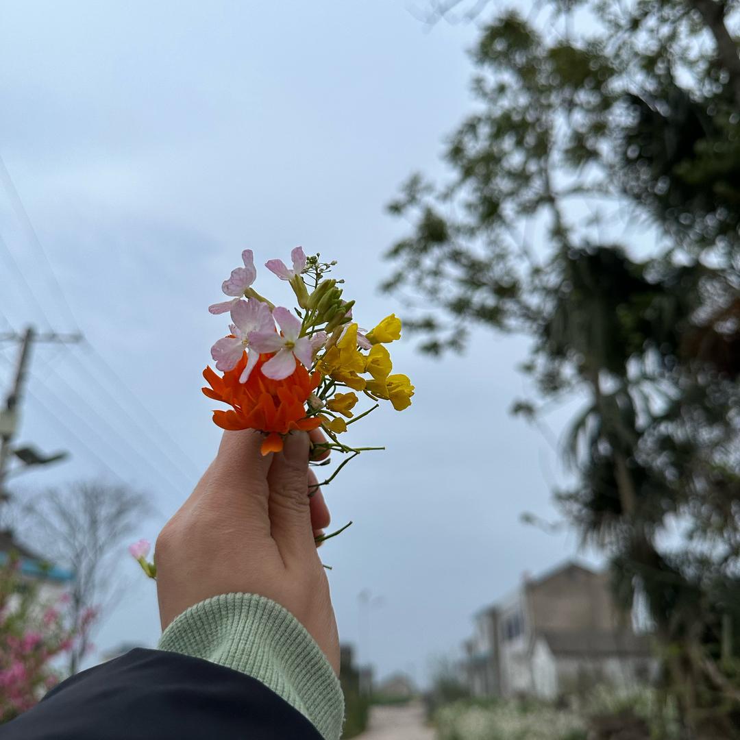 蜗牛