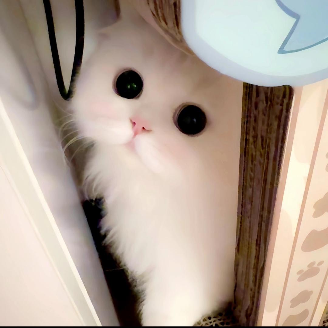 我乖乖的