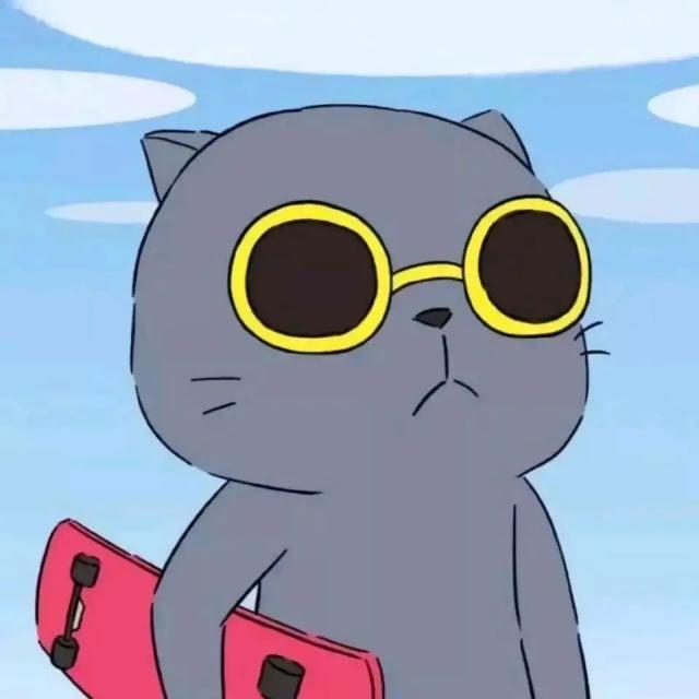 酷猫先生😼