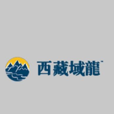 西藏域龙旅行社