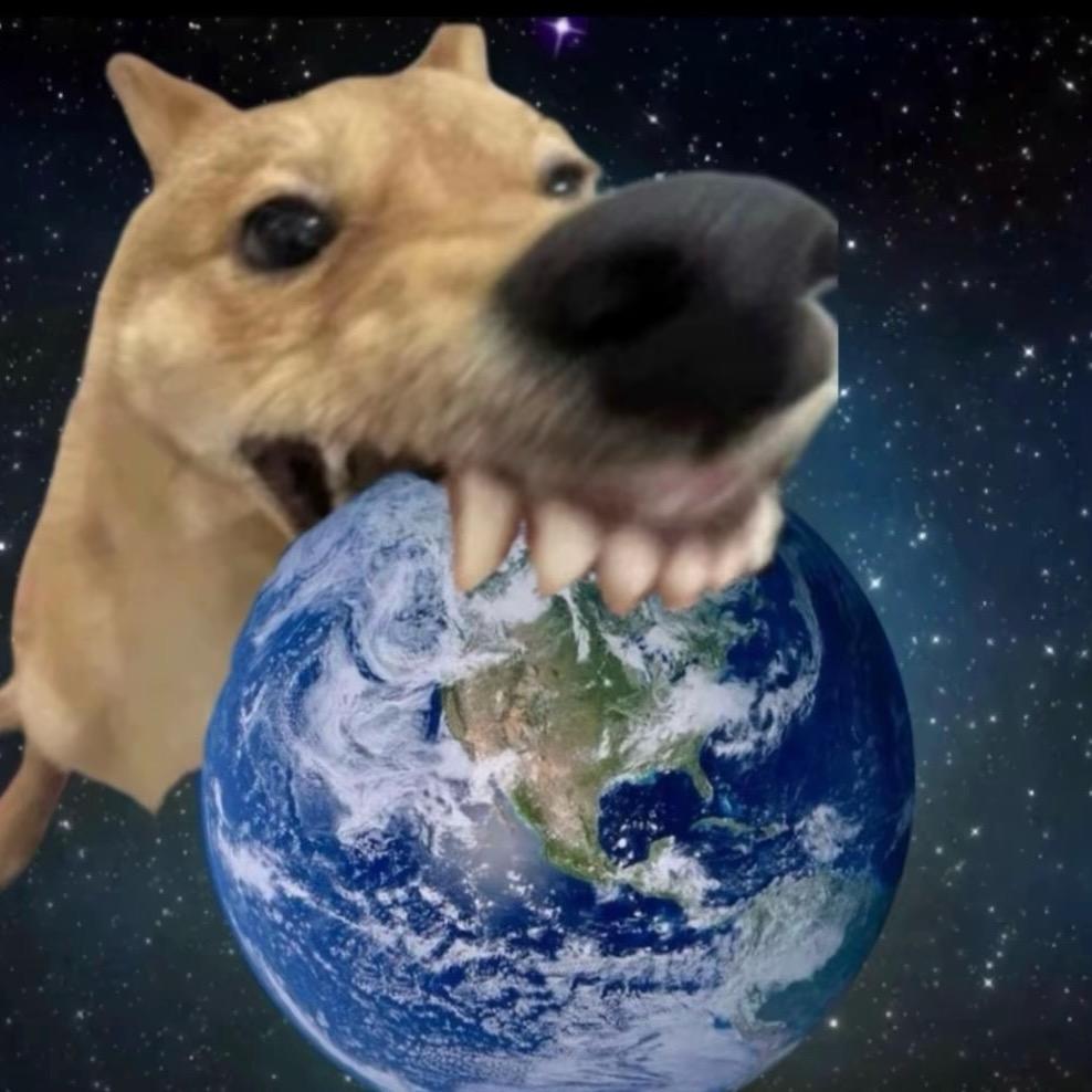 十七、