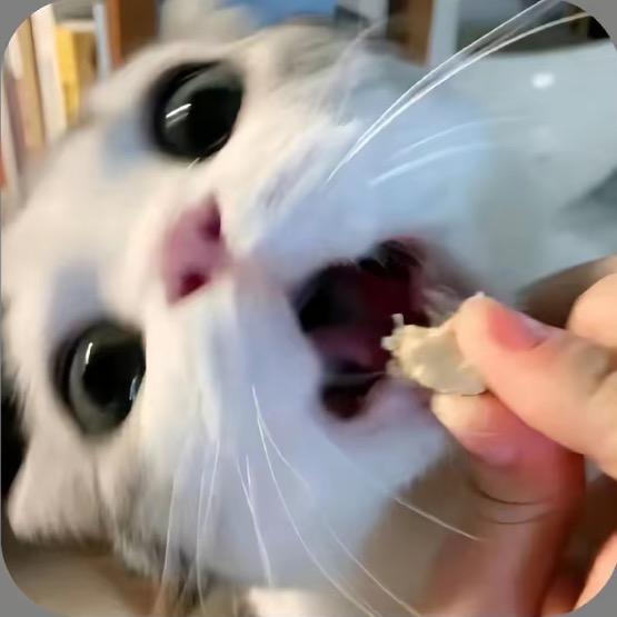 ji米花ovo