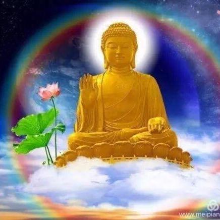 大鹏展翅恨天低