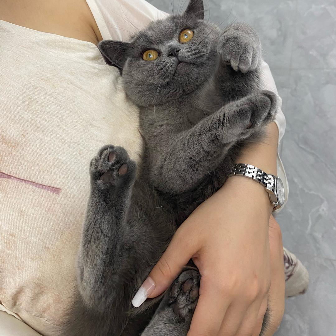 🌈🌈不吹馒头吹口气