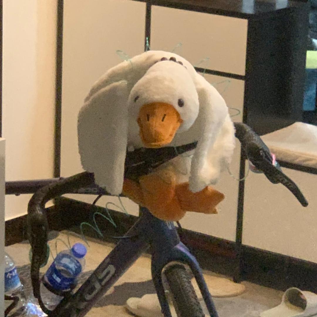 旧多