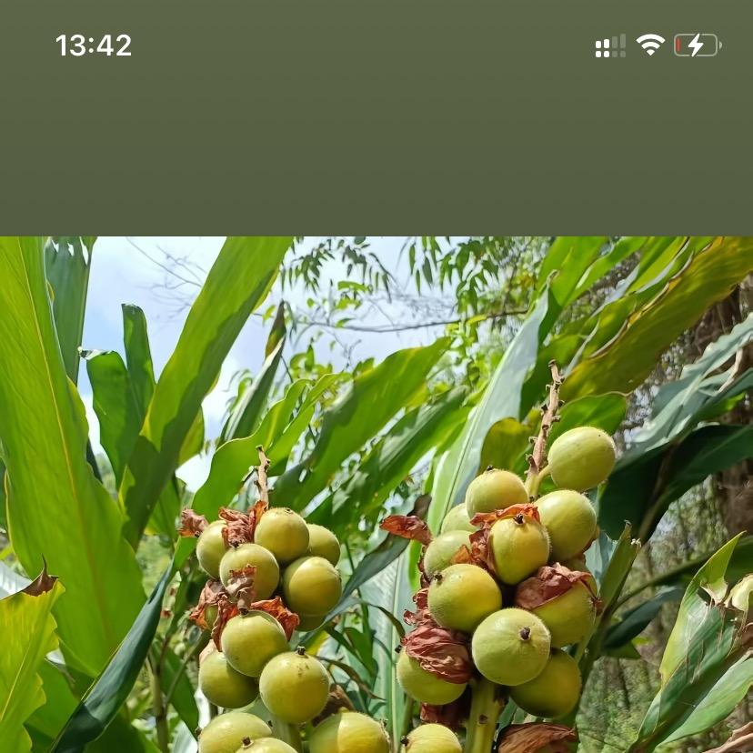 公销助农
