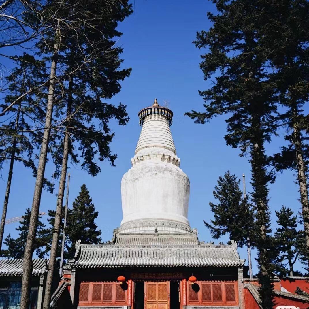 山西忻州地区旅游小张师傅（晋北旅游车队）