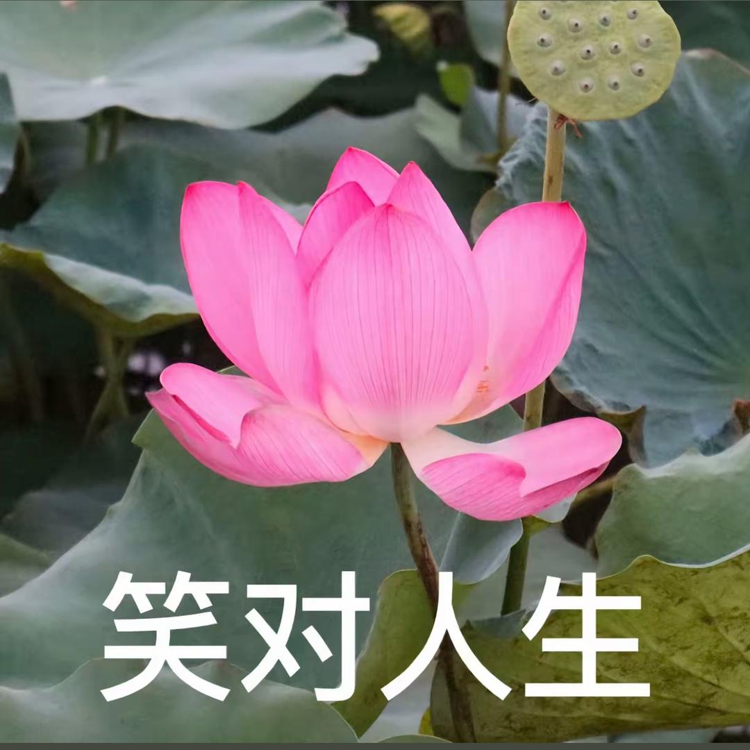 岁月静好