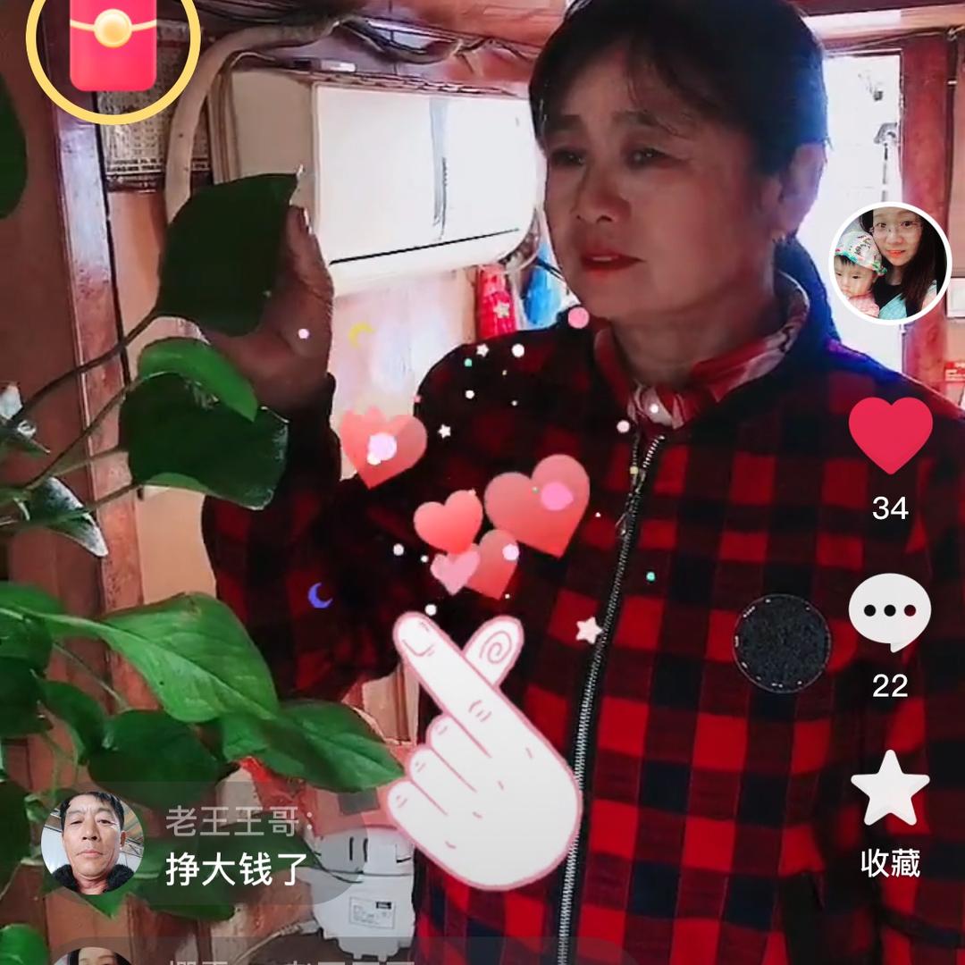 樱雪