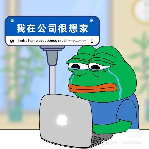 麻辣丸子杂货铺