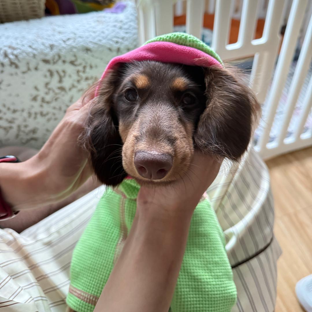 大小姐驾到通通闪开