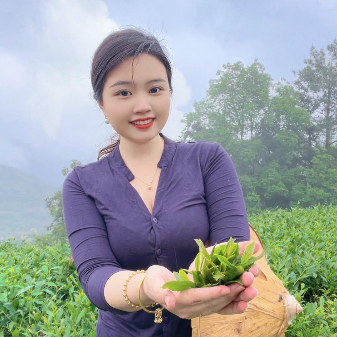 简凌茶行