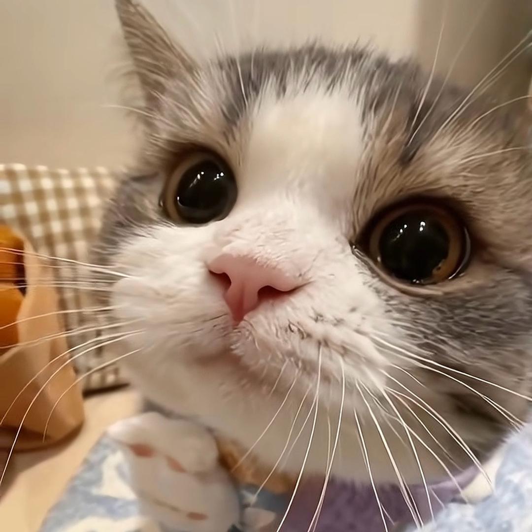 心情不好就报复社会💢