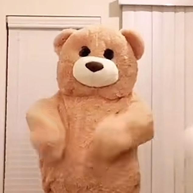 小熊Charmingbear