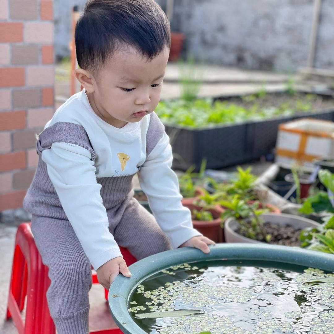 🐾东莞爱种花的小庭院