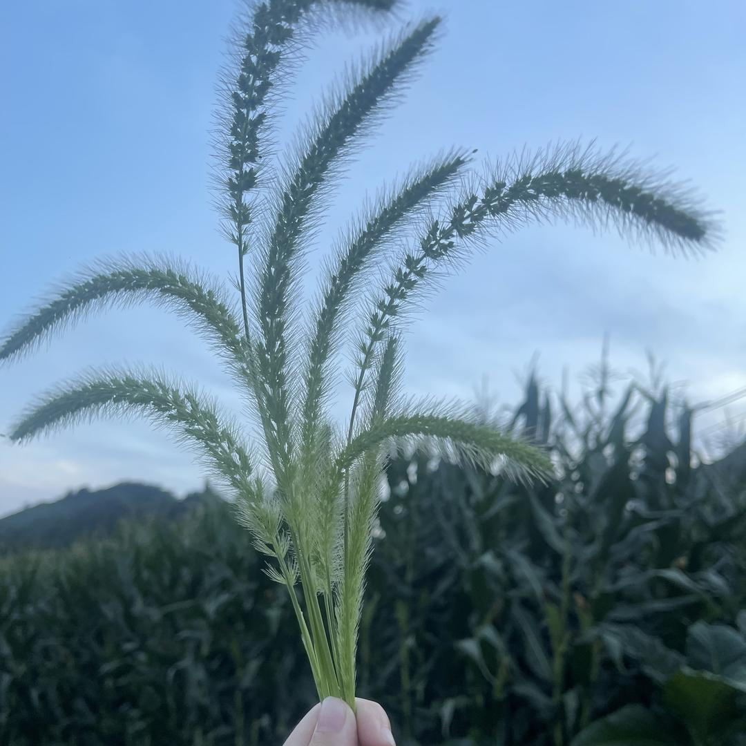 暖宝好物优选