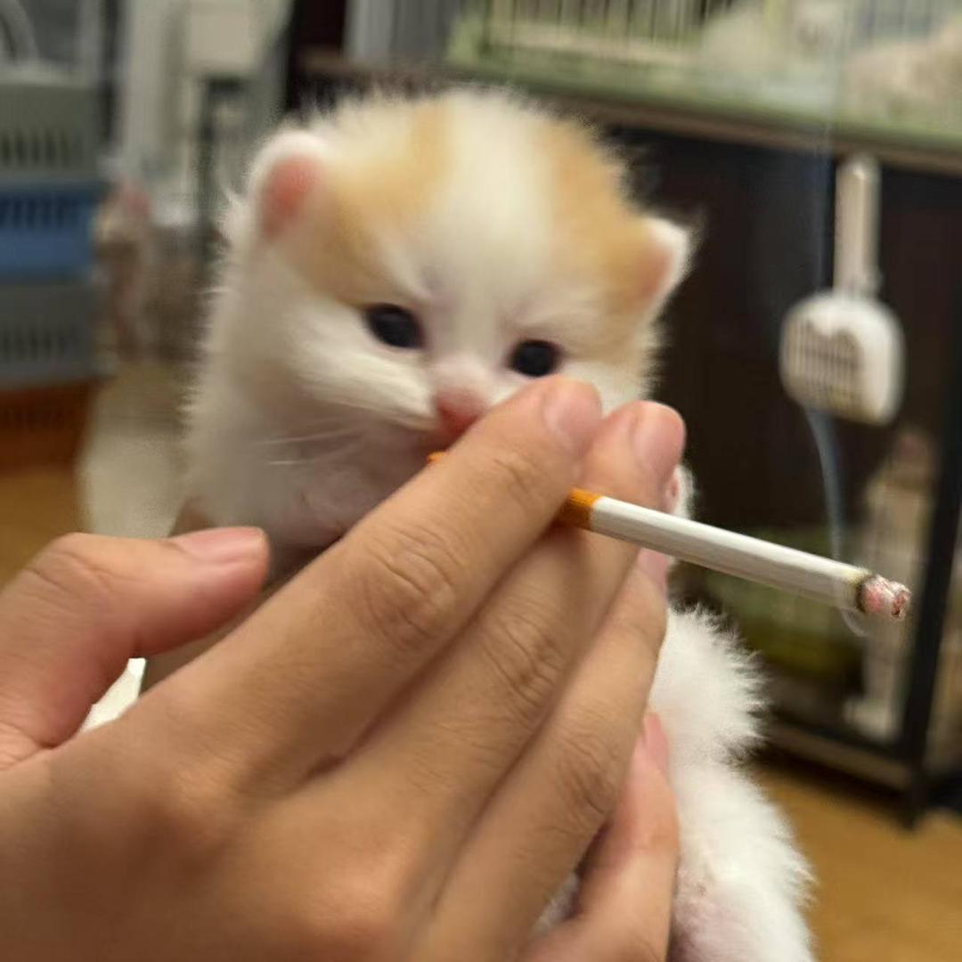 是个好人