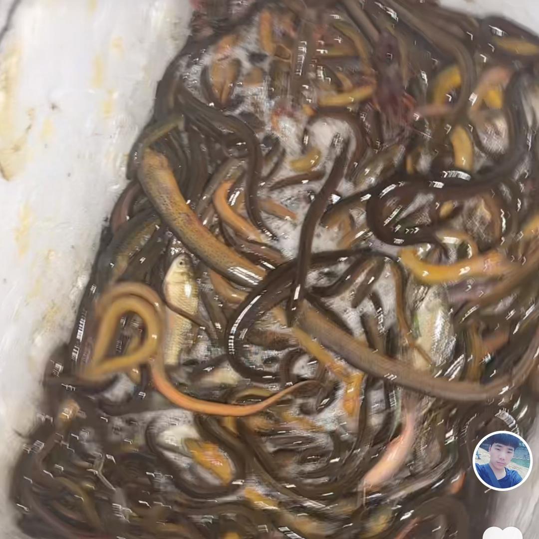 黄番茄