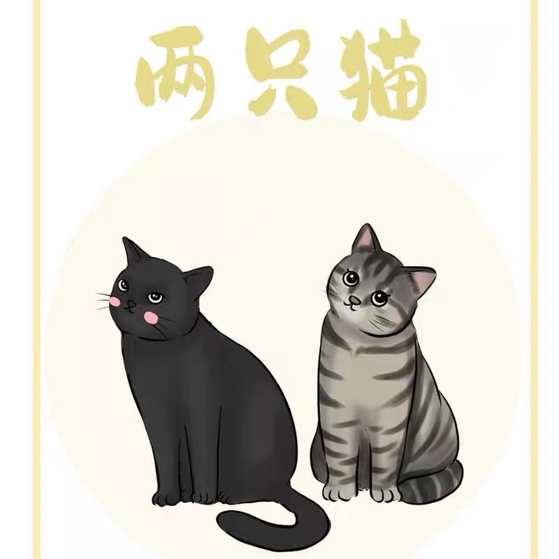 两只猫陶瓷工作室