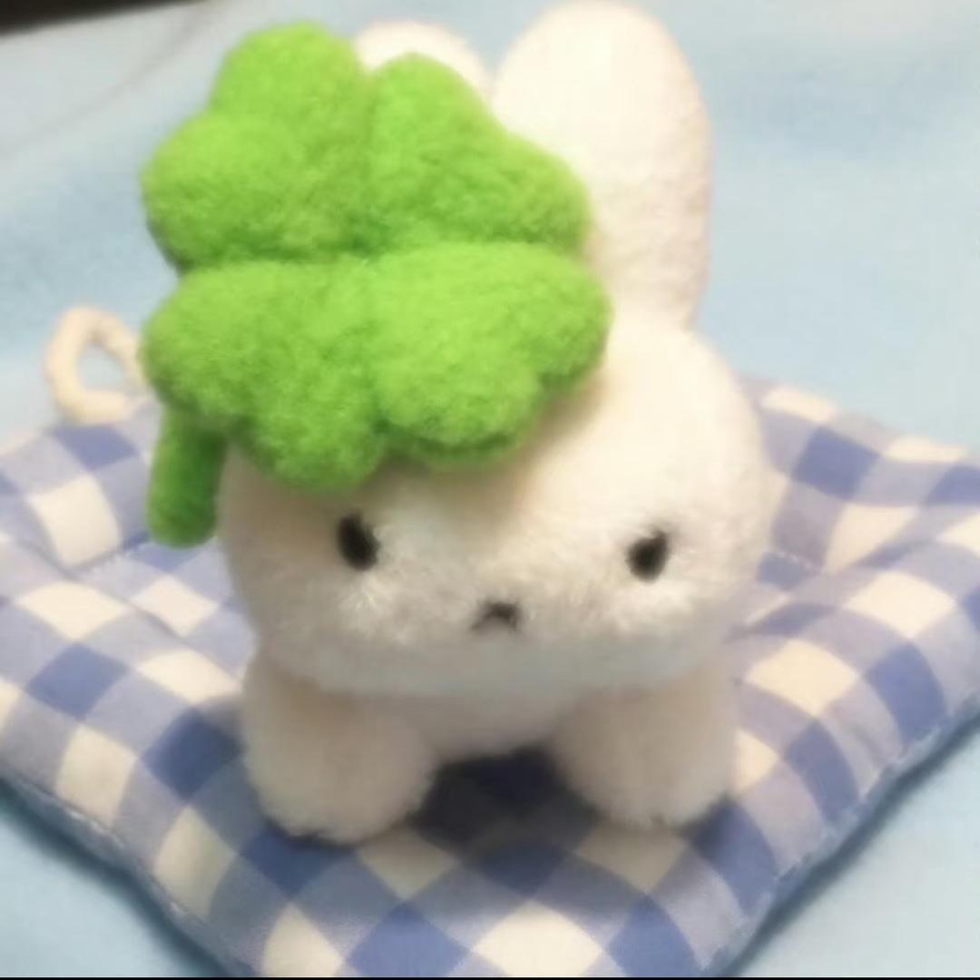 小尾鱼