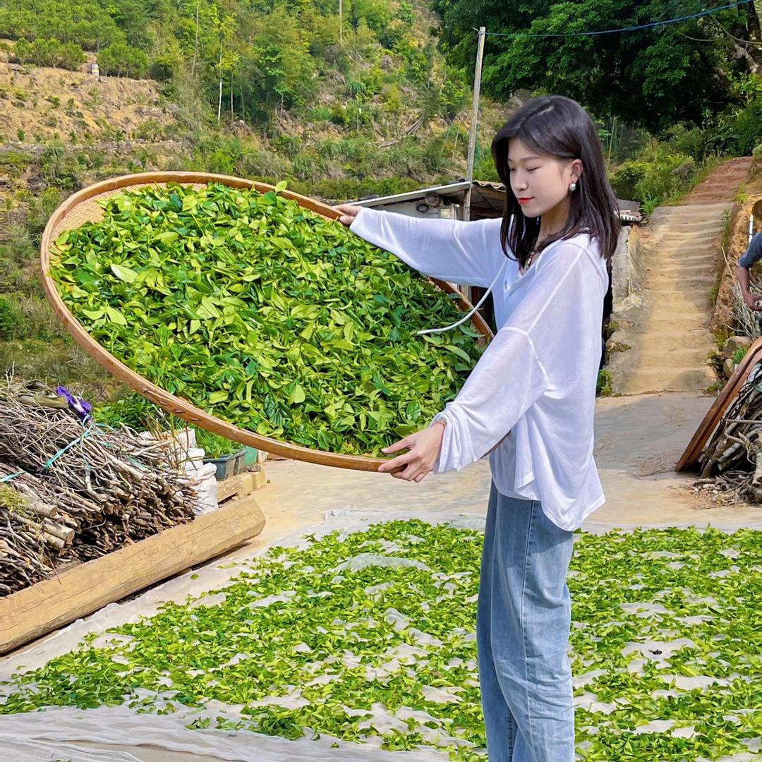 丛状元茶业（此号停更）