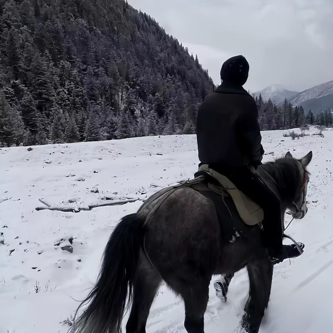 飞翔@
